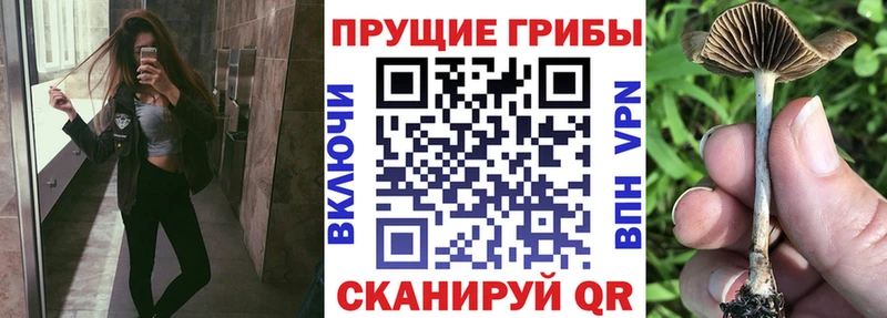 Галлюциногенные грибы мухоморы  гидра как зайти  Суджа  где найти  